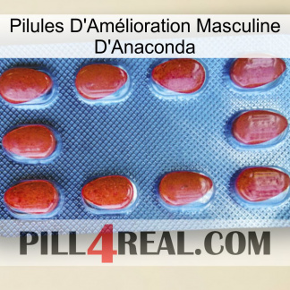 Anaconda Male Enhancement Pills 06